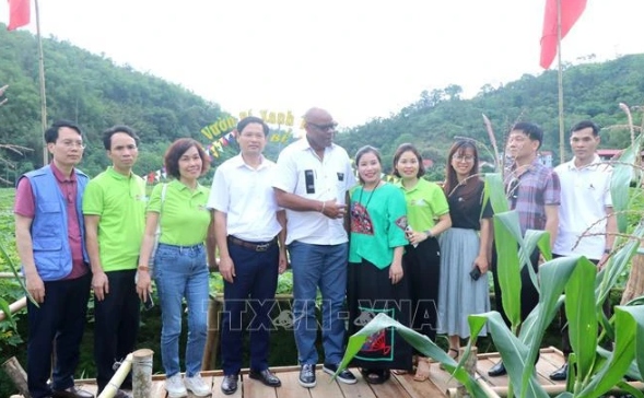 FAO supports Bac Kan’s agro-forestry development