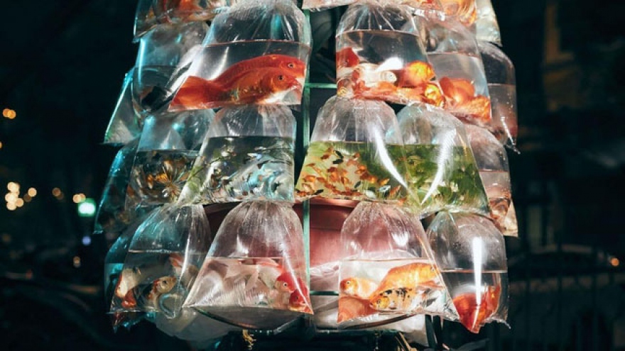 Photograph of Vietnamese fish seller wins grand prize at Smithsonian contest