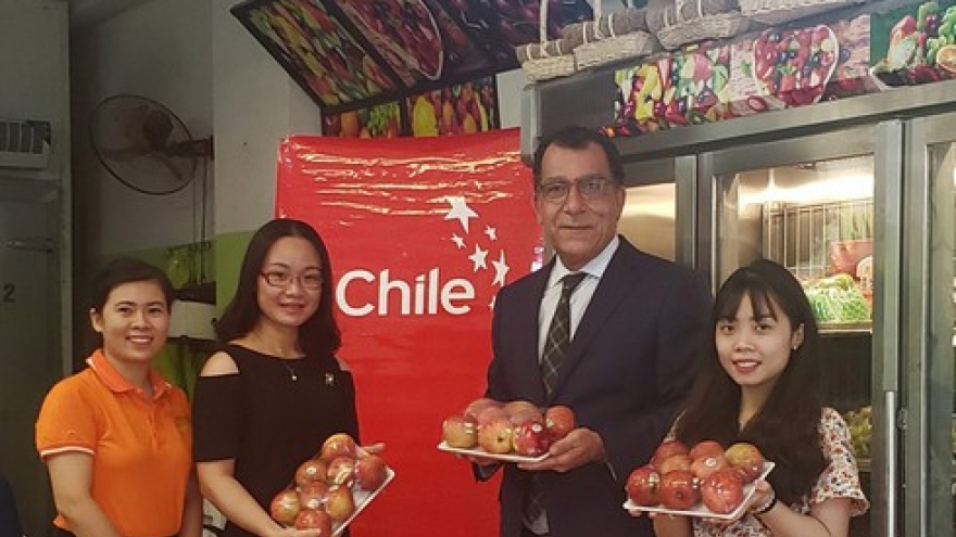 Batch of Chilean apples marks first foray into Vietnamese market