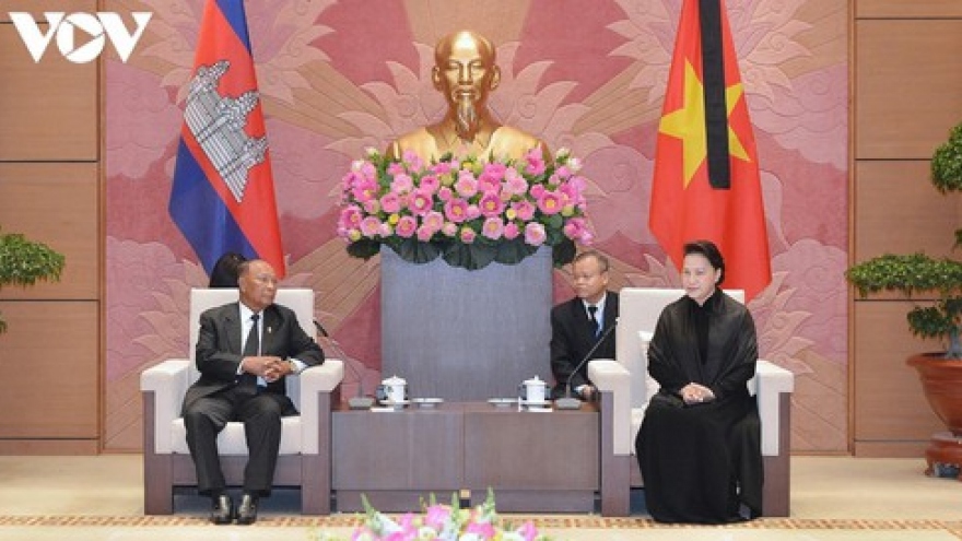 Top Vietnamese legislator meets Cambodian NA President