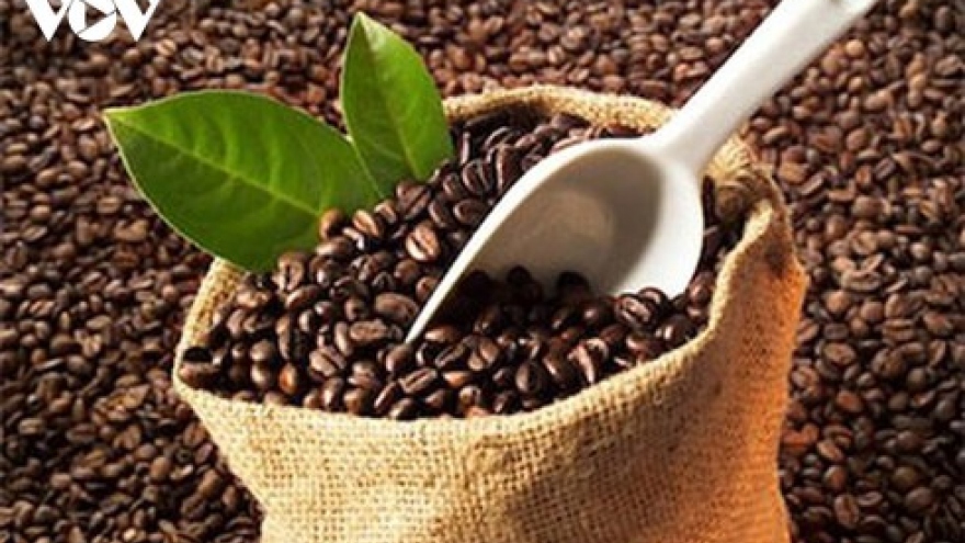 EU increases purchases of Vietnamese coffee