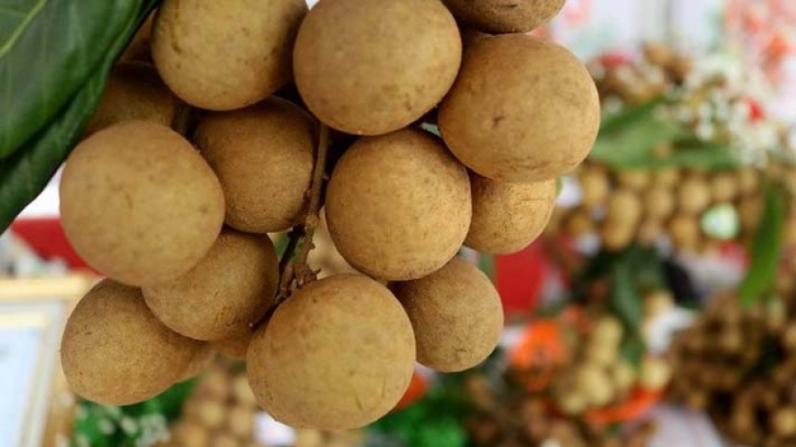 Vietnamese fruit poised to be re-exported to US market