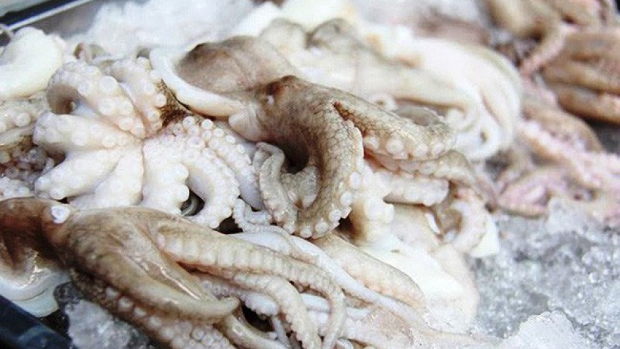 Vietnamese squid and octopus exports to China surge