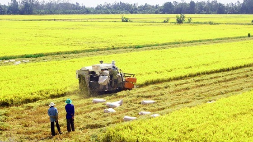 Rice exporters urged to promote brand through safe production