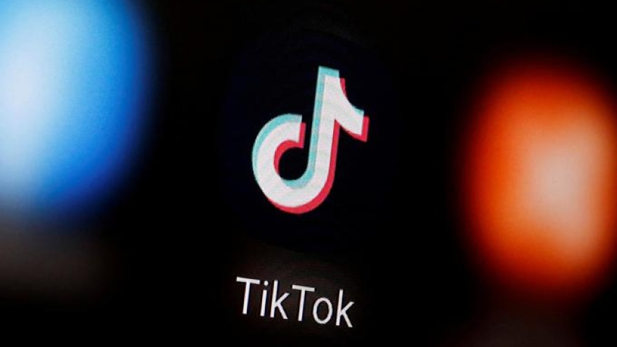 Vietnamese tech firm sues TikTok, alleging copyright infringement