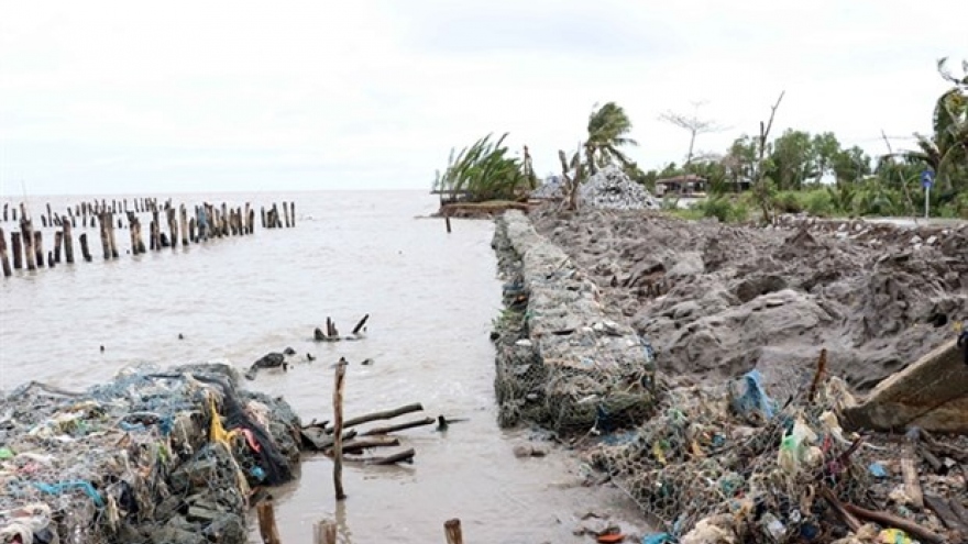 Western sea dyke in Ca Mau, Kien Giang needs urgent protection