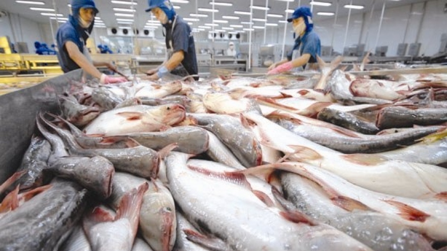 Tra fish exports to ASEAN endure sharp fall due to COVID-19