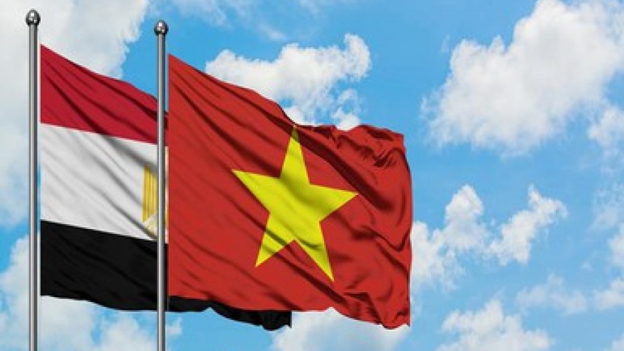Vietnam, Egypt strive to move towards prosperity