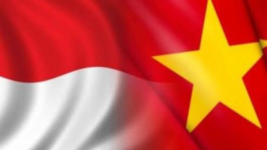 Vietnam, Indonesia enjoy 65 years of sound diplomatic ties