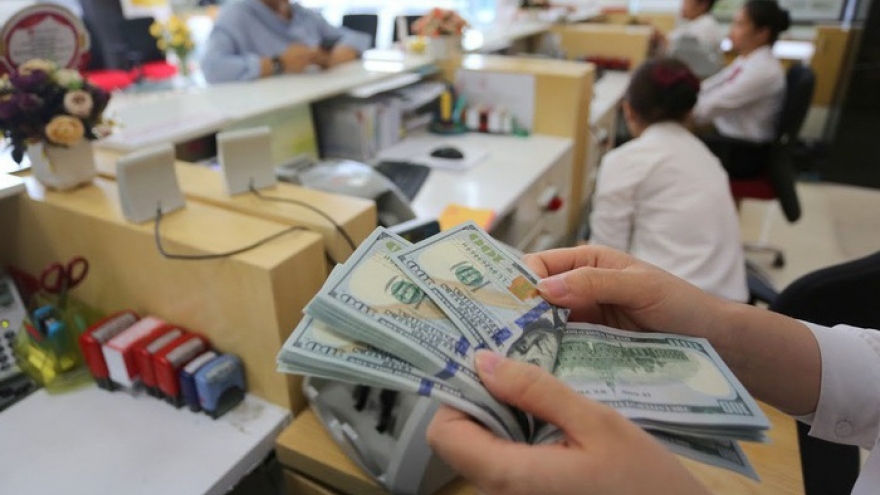 Vietnam’s forex reserve sets new record