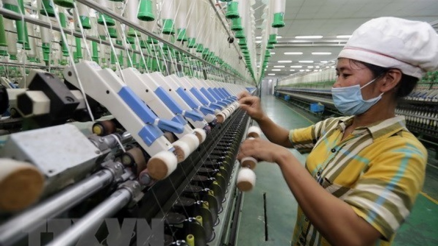 Vietnam’s GDP to grow 2-3% this year: former GSO director