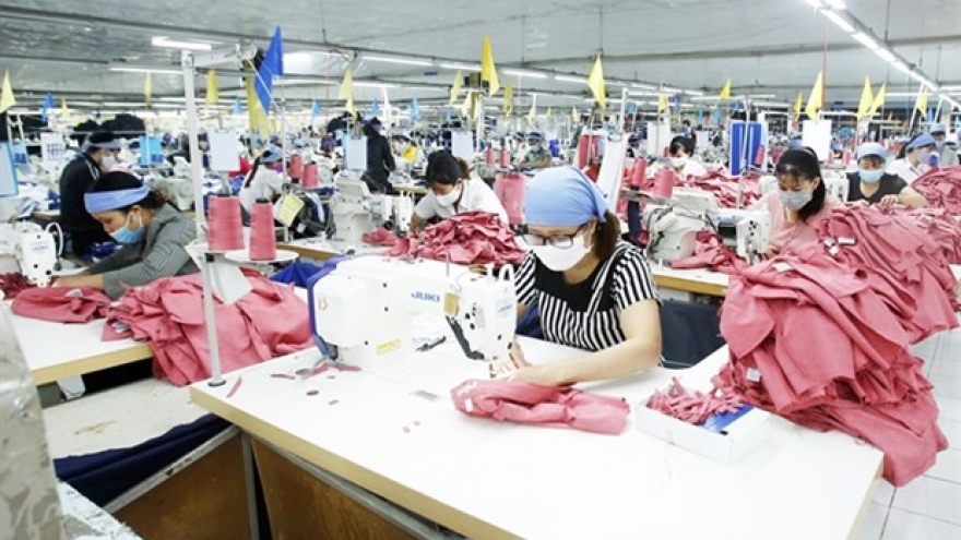 Vietnam needs to develop raw materials production to take advantage of EVFTA