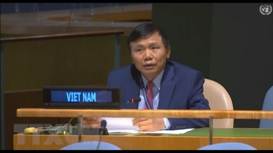 Vietnam urges parties in Central Africa to respect peace agreement