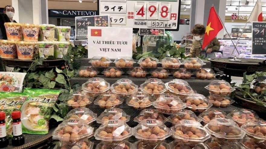 Japan to import US$20 billion worth of Vietnamese goods in 2020