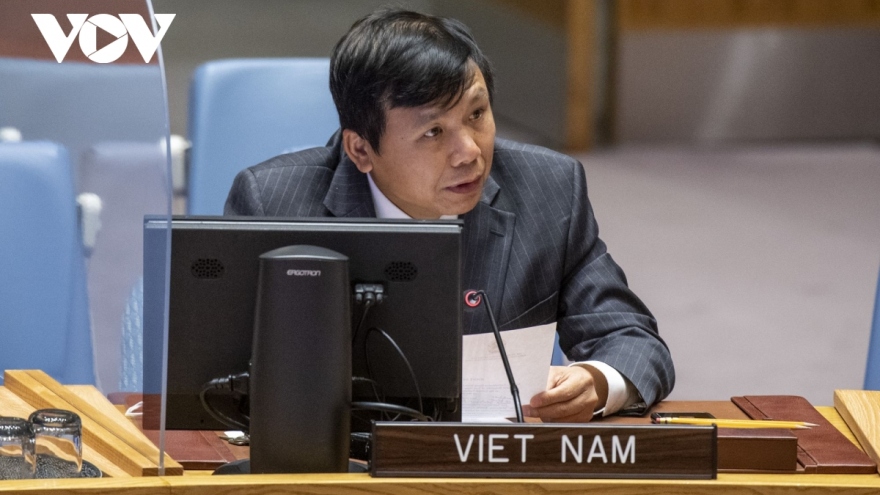 Vietnam, Indonesia voice support for sovereignty and territorial integrity of Mali