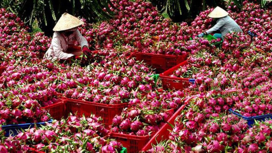 Agricultural firms seek to tap Chinese market