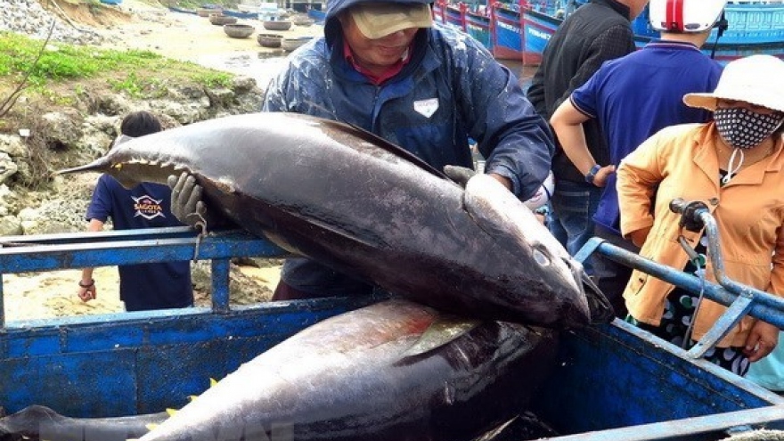 Egypt emerges as promising market for Vietnamese canned tuna
