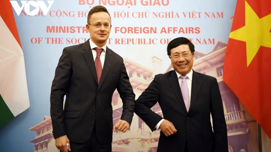 Vietnam, Hungary commit to fostering all-round co-operation