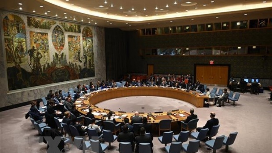 Vietnam backs UN, AU efforts to ensure peace in Africa