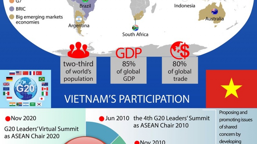 Vietnam's active contributions to G20