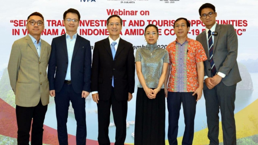 Vietnam, Indonesia step up investment and tourism co-operation