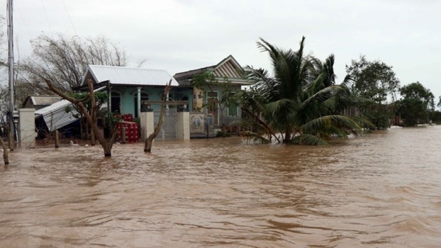 Vietnam should take urgent action in face of natural disasters: WB