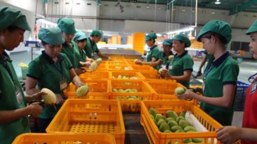 Vietnamese exports to US market enjoy robust growth