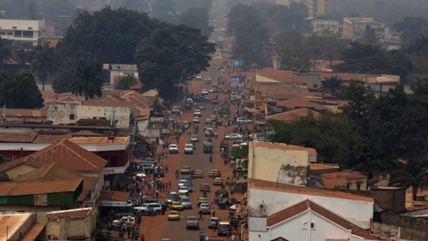 Vietnam voices concern about security instability in Central African Republic
