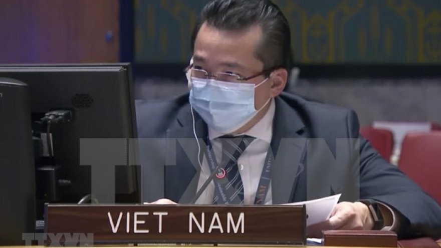Vietnam voices concerns over continued insecurity in Congo