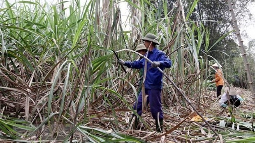 Local sugar industry calls for fair competition