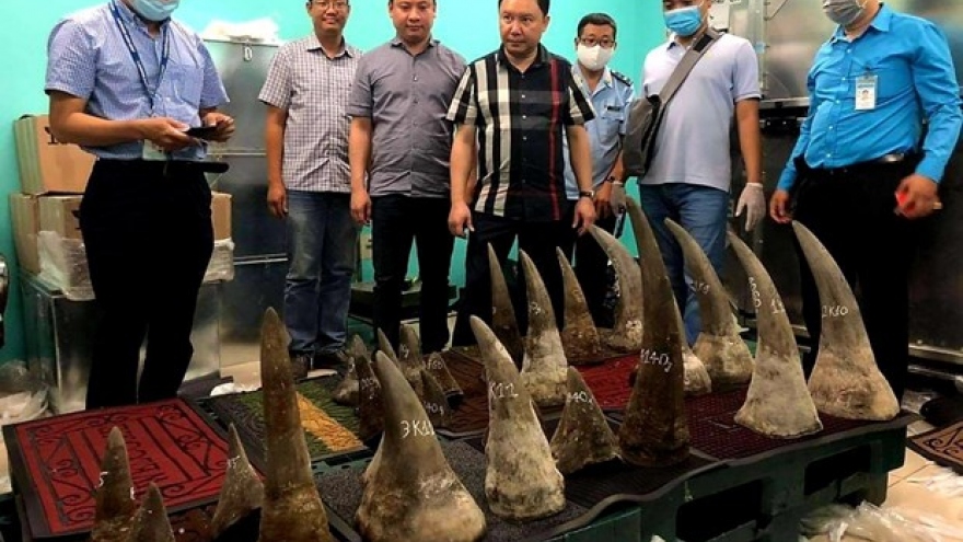 Over 90kg of suspected rhino horns seized at Tan Son Nhat airport