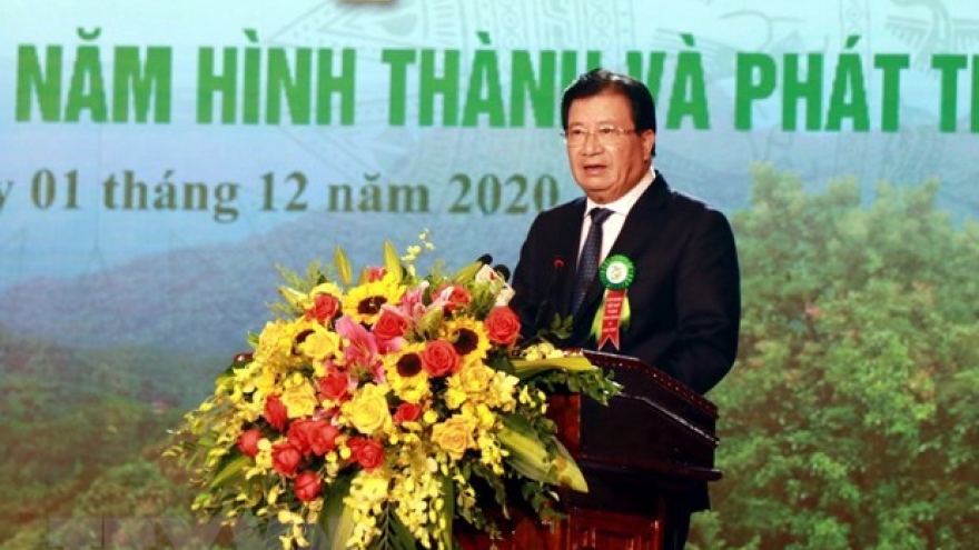 Forestry production expected to grow 5-5.5% annually in next five years