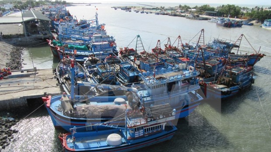 Staff shortages causing problems in supervising fishing vessels: anti-IUU fishing conferen