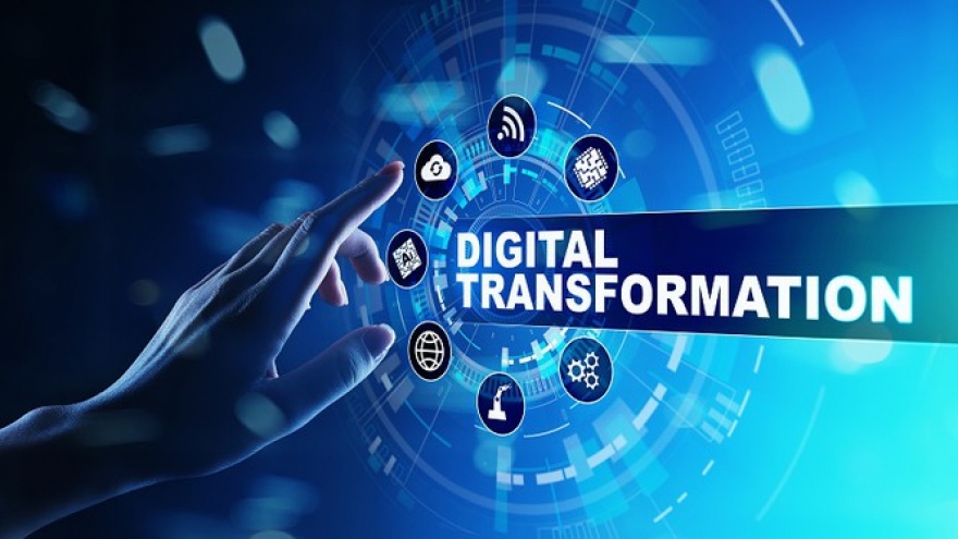 Domestic firms urged to accelerate digital transformation process