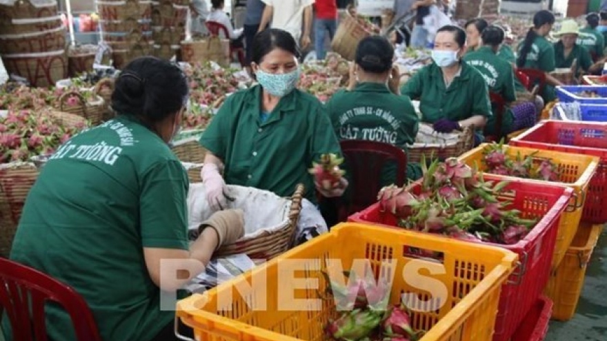 Fruit and vegetable exports hit over US$3.2 billion in 2020