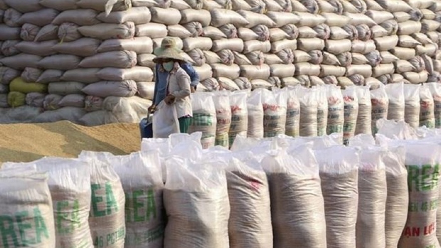 Vietnam imports Indian broken rice