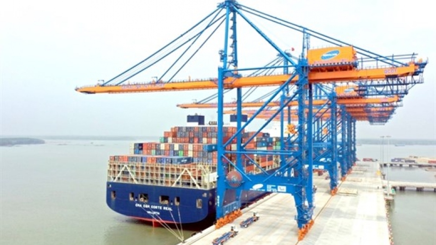 Shipping industry needs State support to develop: ministry