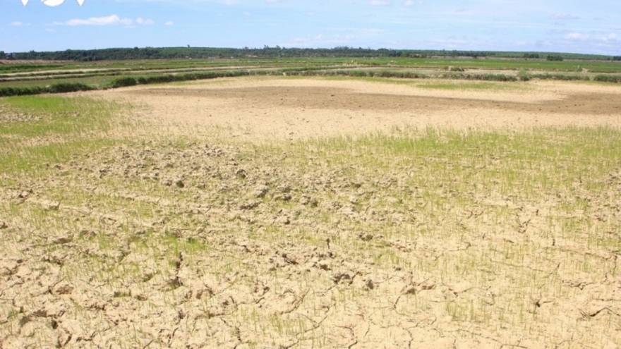 Mekong Delta faces salinity threat over coming year