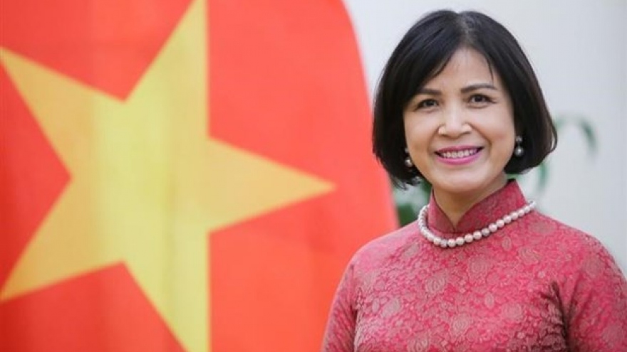 Vietnam supports, congratulates new WTO leader: Ambassador