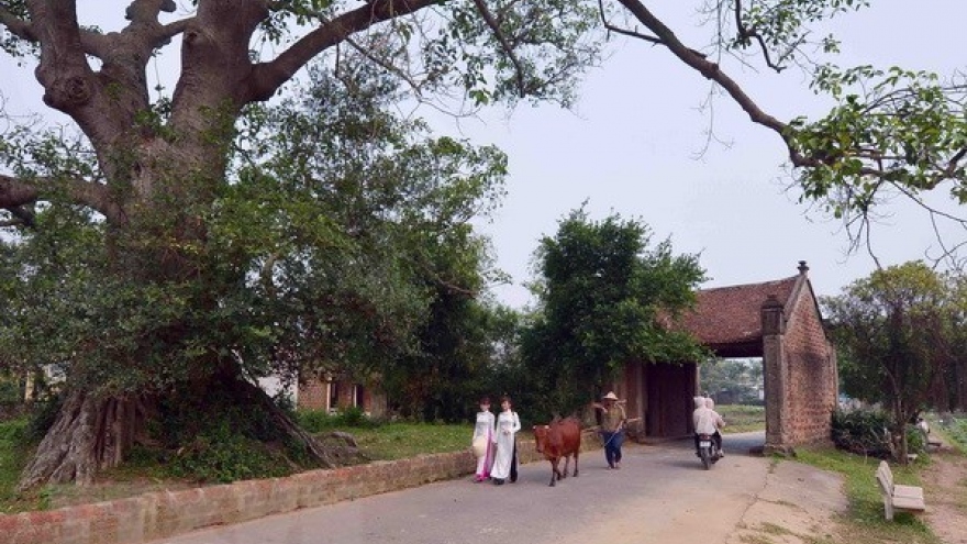 Duong Lam first Vietnamese ancient village to become national relic