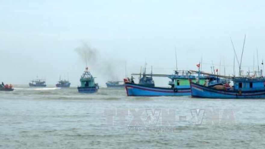 Ba Ria-Vung Tau to get tougher on illegal fishing in foreign waters
