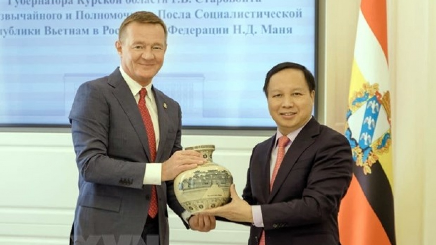 Vietnam places importance on promoting trade ties with Russia