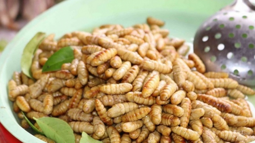 Vietnam granted permission to export edible insects to EU