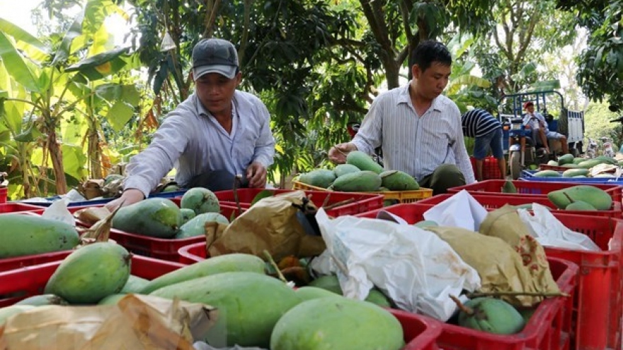 Trade surplus from agro-forestry-fisheries hit US$1.37 mln in two months