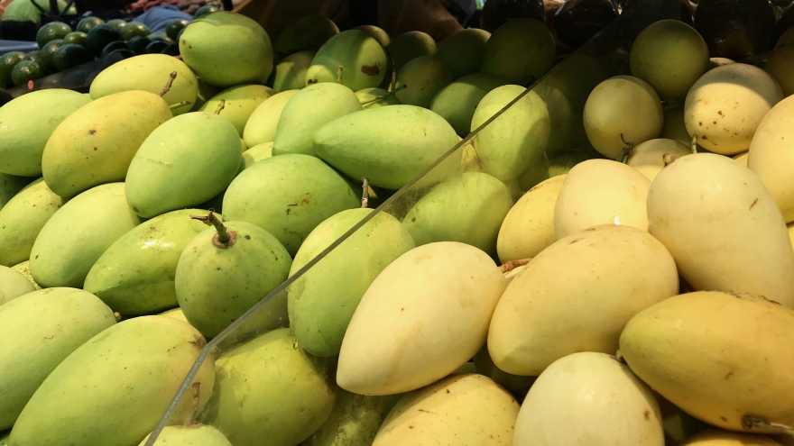 US increases imports of Vietnamese mangoes