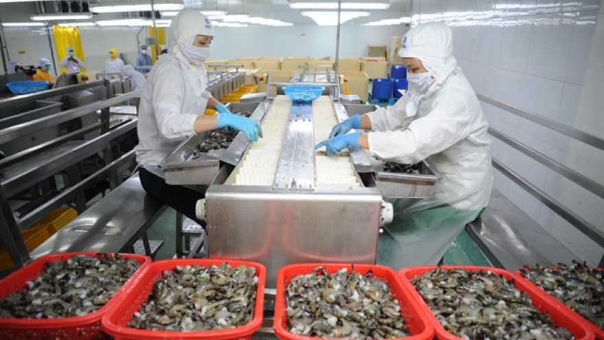 Mekong Delta provinces' shrimp exports to EU market skyrocket in Q1