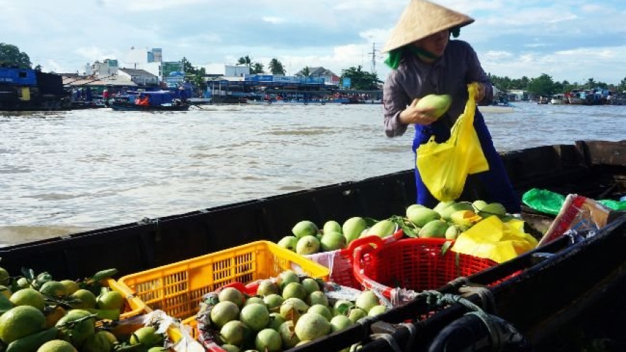 Fruit islands in Mekong Delta to explore