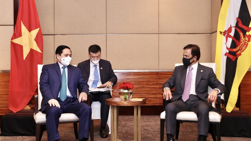 Vietnam, Brunei to expand all-round cooperation