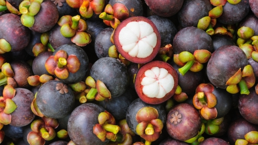 Russia increases mango, guava, and mangosteen imports from Vietnam