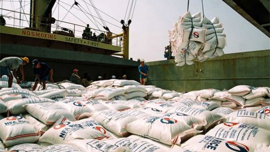 Vietnamese rice export prices fall to lowest level over five month-period